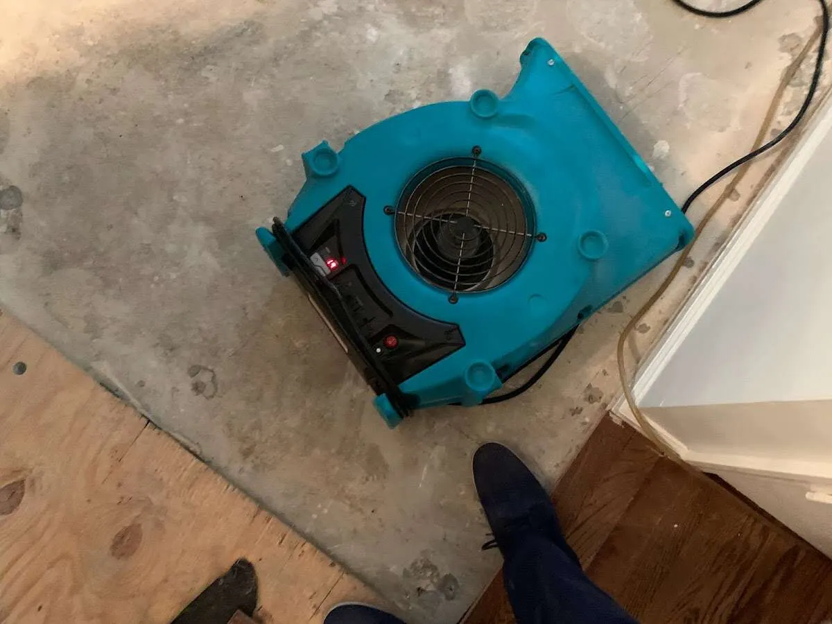 Air mover drying subfloor during Leak Detection & Repair in Flatwoods